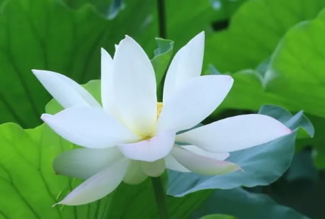 工业除尘设备厂家zoty中欧科技-今日小满！