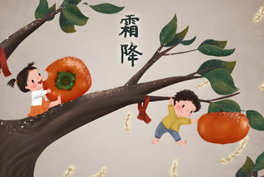矿山除尘设备/布袋除尘设备厂家zoty中欧科技-今天霜降！